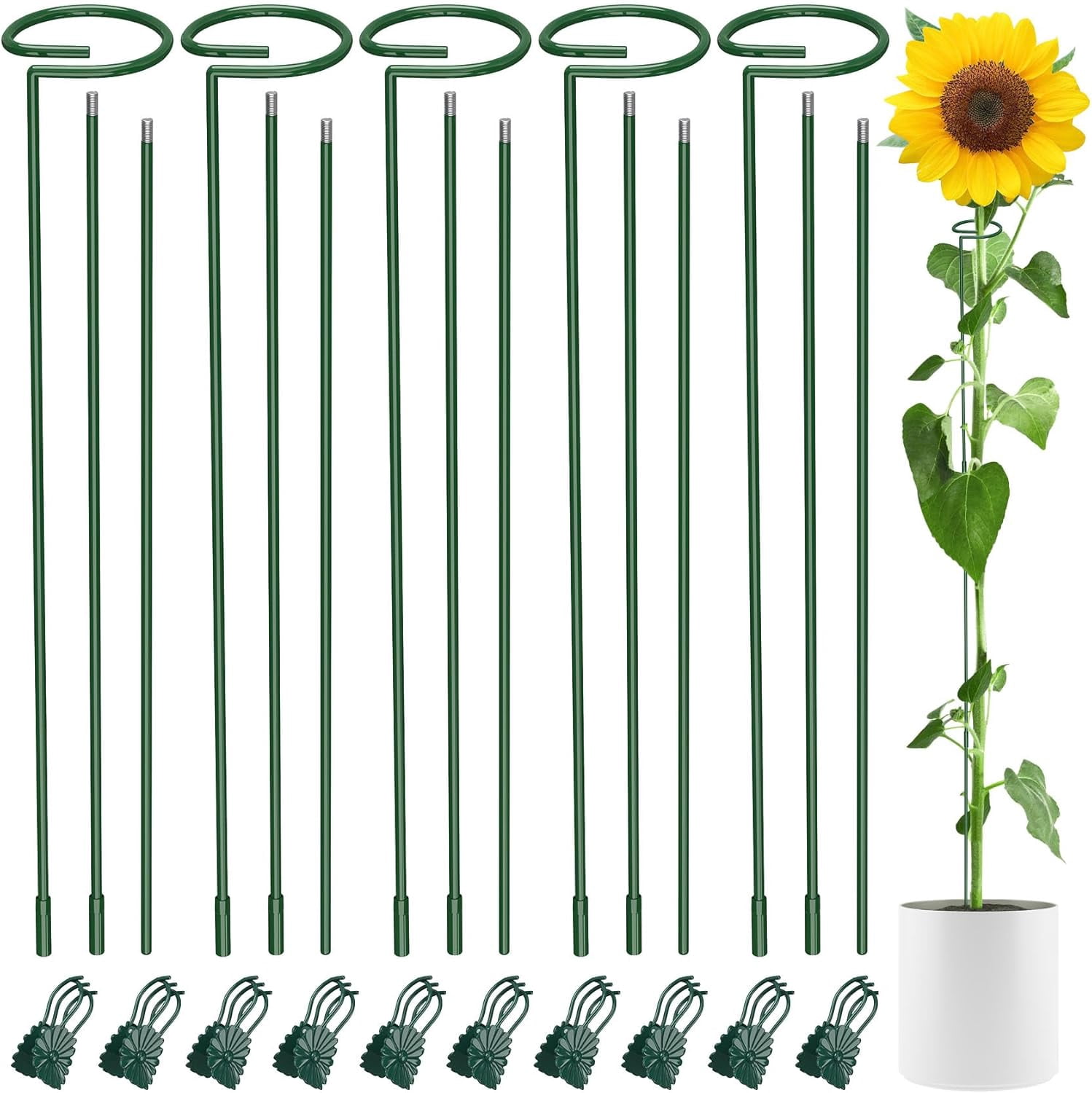 36 Inch Plant Stakes Tall, 5 Set Support for Indoor or Outdoor, Three Sizes(12 24 Inch) Garden Plants Cages Rings Flowers Tomato Amaryllis Lily Peony Rose