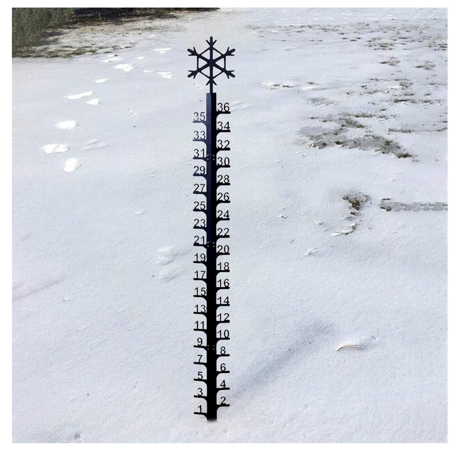 36 Inch Snow Gauge, Snow Measuring Stick Outdoor, Christmas Holiday
