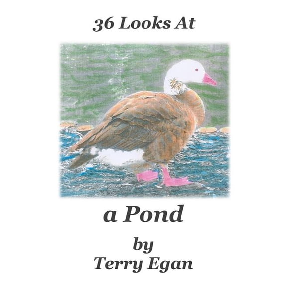 36 Looks At a Pond (Paperback)