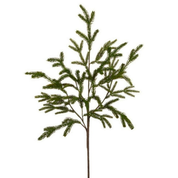 36" Norfolk Pine Branch