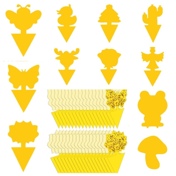 36 Pack Fruit Fly Traps for Indoors, Gnat Traps for House Indoor, Sticky Traps Fungus Gnats Killer for Mosquito and Flying Insects, Bug Pest Insect Catcher Killer for Houseplant