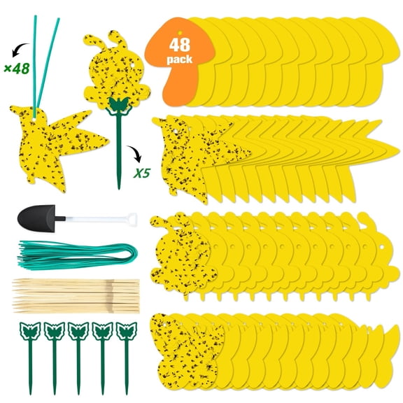 36 Pack Fruit Fly Traps for Indoors, Gnat Traps for House Indoor, Sticky Traps Fungus Gnats Killer for Mosquito and Flying Insects, Bug Pest Insect Catcher Killer for Houseplant