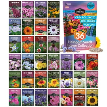 36 pack Functional Flower Seeds - Non-GMO Full Sun, Includes Annual Flowers