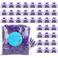 thumbnail image 1 of 36 Pack Lavender sachets 100% Natural Dried Lavender Buds, French Lavender Strong Smell Fragrance for Drawers Closets Home, 1 of 4