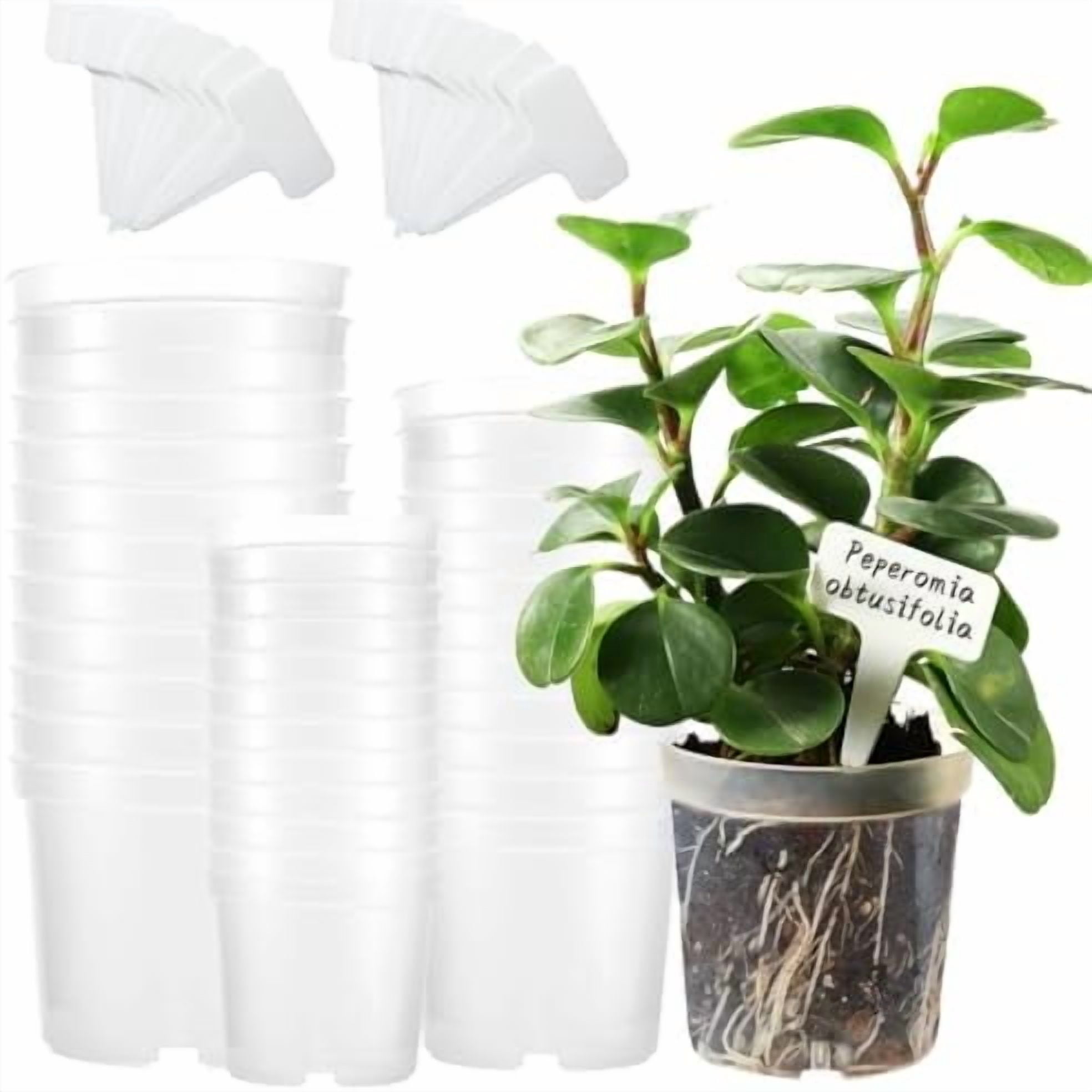 36 Packs 3.5/4/4.3 Inch Clear Nursery Pots for Plants Variety Pack ...
