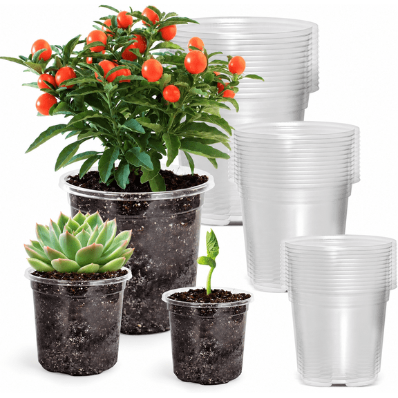 36 Packs Clear Nursery Pots with Drainholes, Jorking 5/4/3.5 Inch Plastic Plant Pot Variety Pack for Seedling Succulent Flower