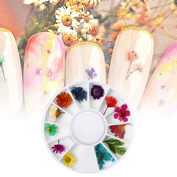 36 Pcs Nail Dried Flowers for Manicure 3D Sticker Mixed Design Tips Accessories with Starry Leaves Floral Decorations