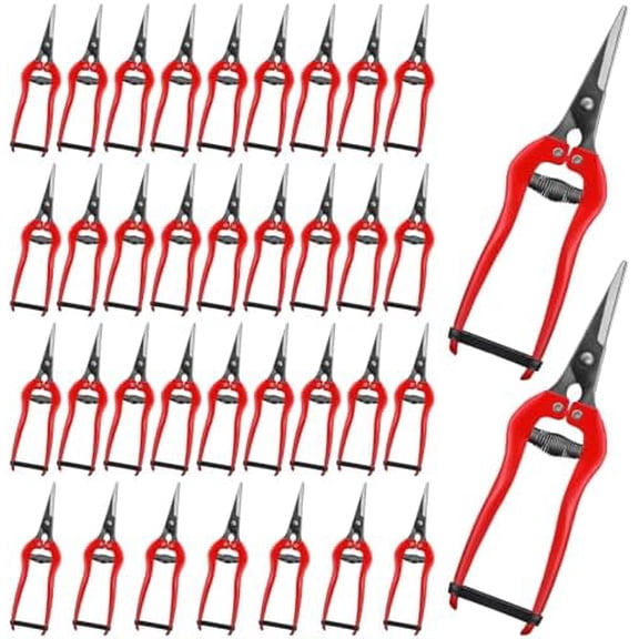 36 Pcs Straight Pruning Shears Florist Multi-tasking Garden Scissor Leaf Trimmer Floral Fruits Picking Sharp Gardening Snips for Arranging Flowers Harvesting Herbs Fruits Vegetables$$Garden & Patio