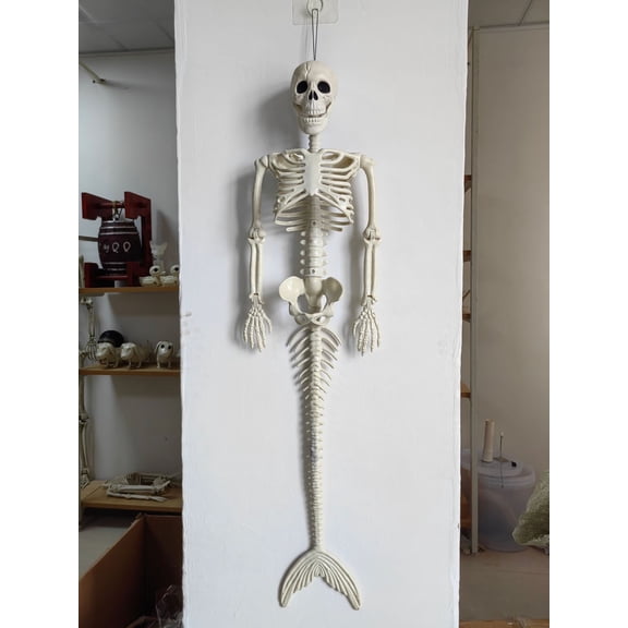 36" Posable Halloween Skeleton Decorations,Human Bones for Halloween Party with Movable Joints,for Haunted Houses, Front Lawn, Graveyard Props