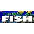 thumbnail image 1 of 36" TROPICAL FISH DECAL sticker saltwater fishes colorful bright collector tank, 1 of 1