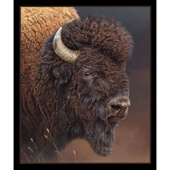 36" X 44" Panel Bull's Eye Buffalo American Bison Animal Wildlife Elizabeth Studios Cotton Fabric Panel (9706BLACK)