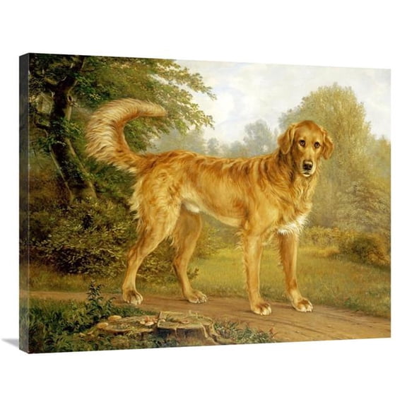 36 in. A Golden Retriever on a Path Art Print - Niels Aagaard Lytzen