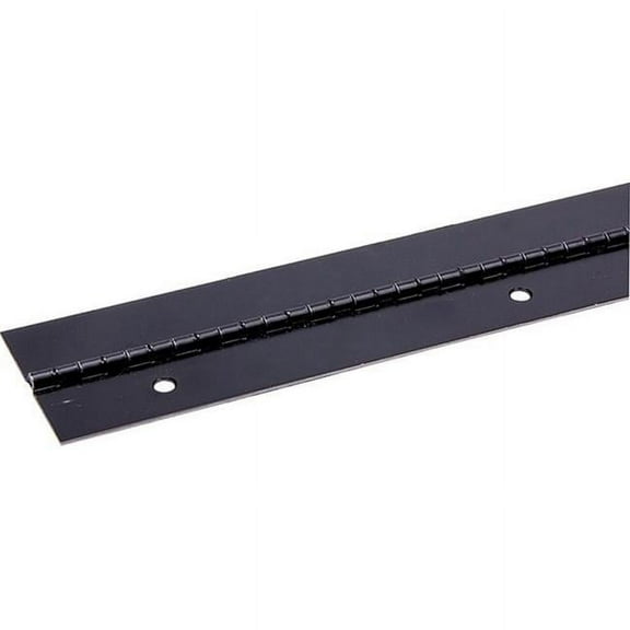 36 in. Aluminum Hinge, Black