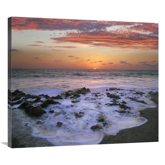 36 in. Coast at Sunset, Blowing Rocks Beach, Jupiter Island, Florida Art Print - Tim Fitzharris