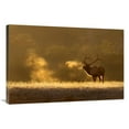 thumbnail image 1 of 36 in. Frosty Morning Bull Elk Art Print - Vic Schendel, 1 of 1