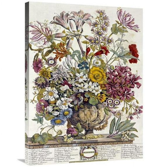 36 in. October - Twelve Months of Flowers Art Print - Robert Furber