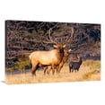 thumbnail image 1 of 36 in. Protection Art Print - Vic Schendel, 1 of 1