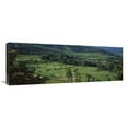 thumbnail image 1 of 36 in. Rice Terraced Fields, China Art Print - Pete Oxford, 1 of 1