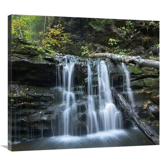36 in. Seneca Falls, Ricketts Glen State Park, Pennsylvania Art Print - Tim Fitzharris