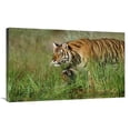thumbnail image 1 of 36 in. Siberian Tiger Walking Through Tall Grass Along Waters Edge Art Print - Tim Fitzharris, 1 of 1