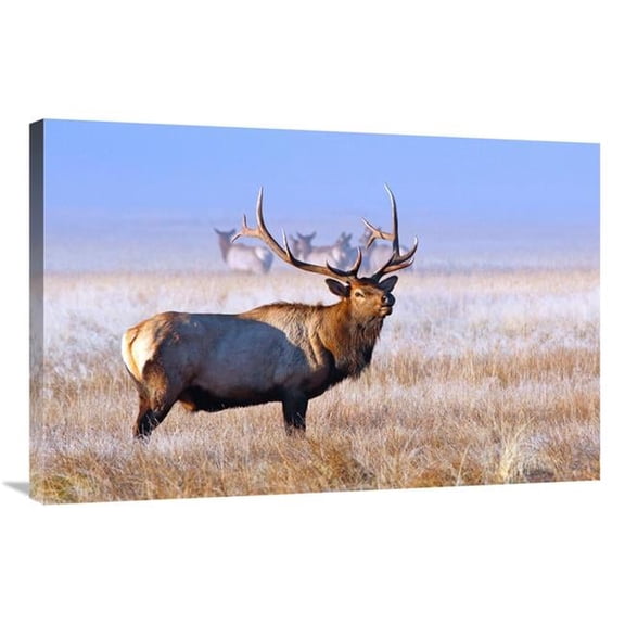 36 in. The Family Group Art Print - Vic Schendel