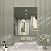 36 in. W x 30 in. H Rectangular Framed Wall Bathroom Vanity Mirror in Brushed Nickel