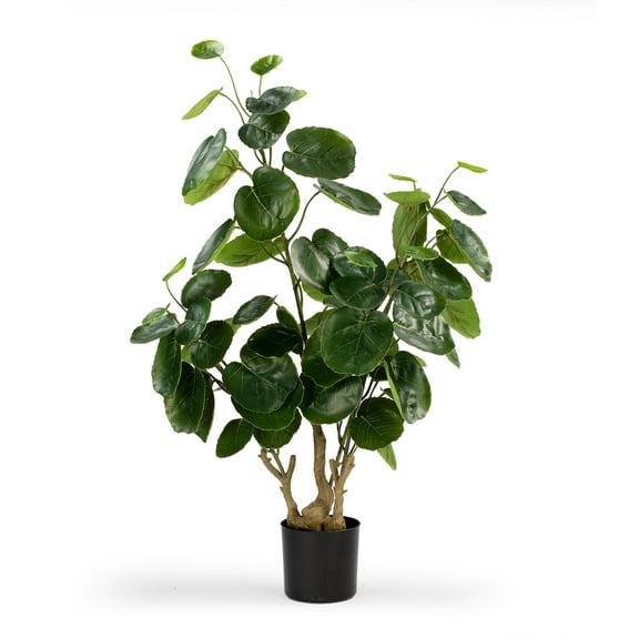 36 inches Artificial Fiddle Money Bag Tree in Plastic Nursery Pot