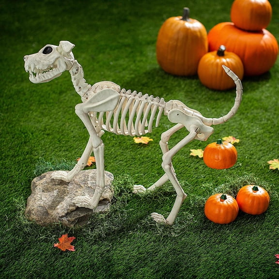 36" x 21" Dog Skeleton Pooping Pumpkins Halloween Decorating Kit  4 Pc.