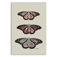 thumbnail image 1 of 36" x 24" Butterflies Matte Canvas by Amrita Sen in Multi-Color, 1 of 5