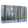 thumbnail image 1 of 36" x 24" Frosty Forest by Anne Schneidersmann - Print on Canvas Fabric White, 1 of 3