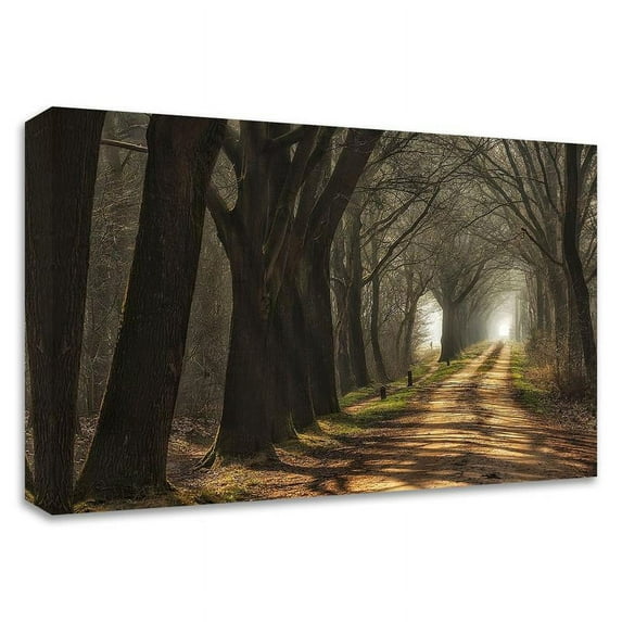36" x 24" Paths by Lars Van de Goor - Wall Art Print on Canvas Fabric White