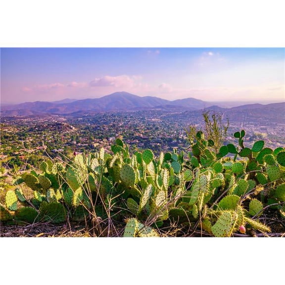 36 x 24 in. Mount Helix Cactus Landscape Fine Print Wall Art