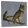 thumbnail image 1 of 36 x 36 in. Audubon Decor - Horned Owl Detail Art Print - BG.Studio, 1 of 1