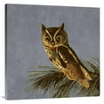 thumbnail image 1 of 36 x 36 in. Audubon Decor - Little Screech Owl Detail Art Print - BG.Studio, 1 of 1