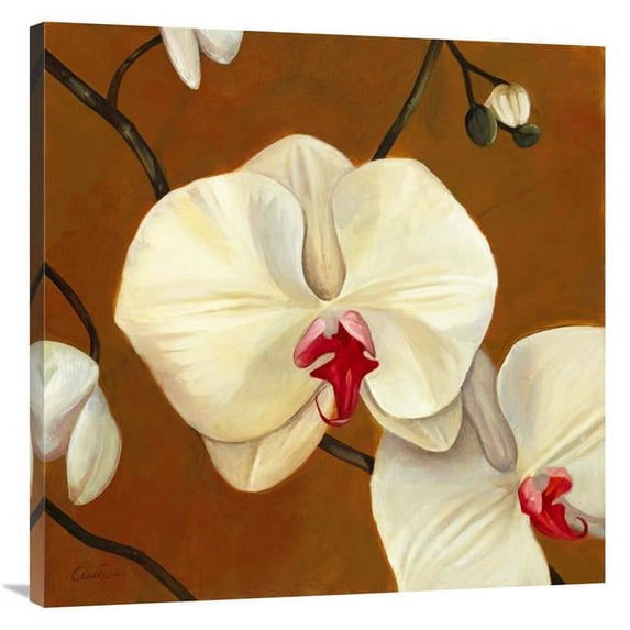 36 x 36 in. Orquideas Blancas I Art Print - Clunia