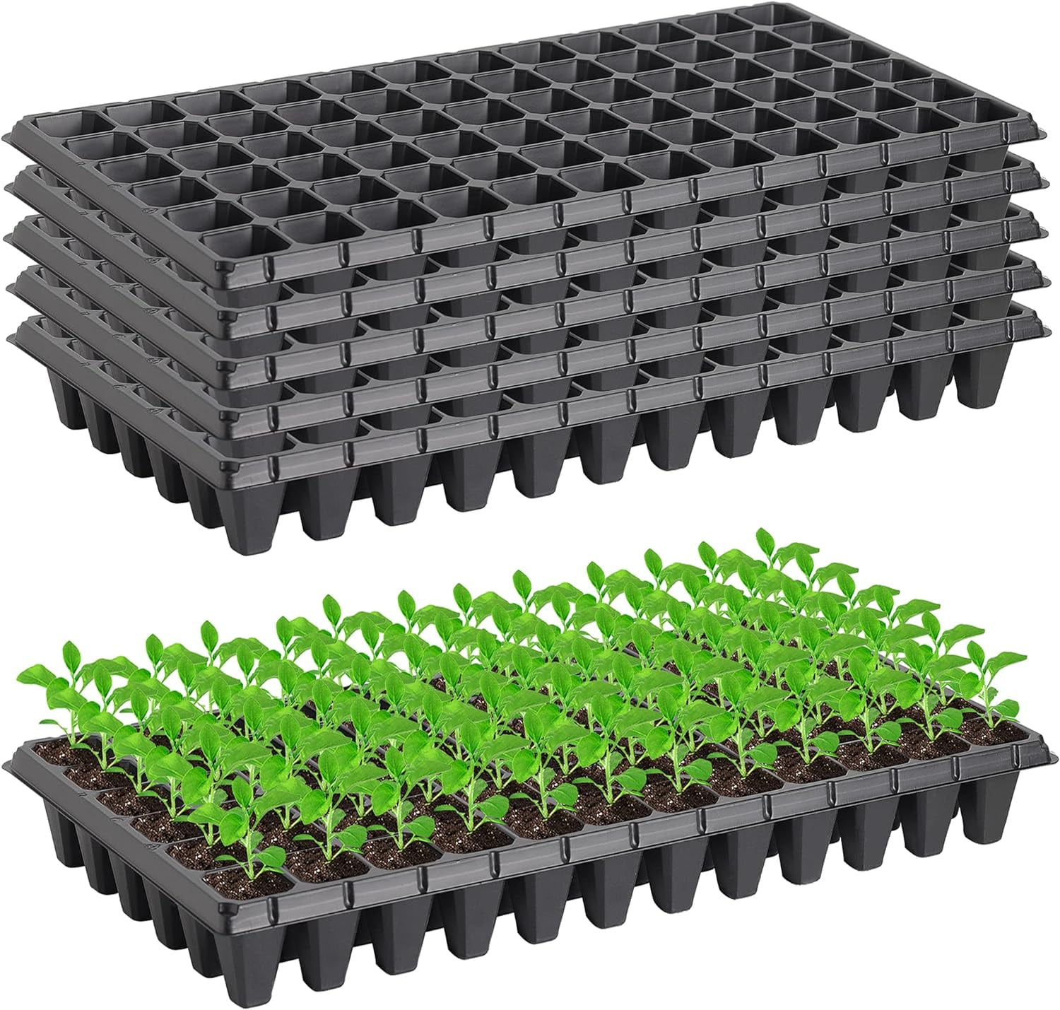 360 Cells 20×10 Inch Seedling Plug Trays - 5 PCS 54x28cm Reusable Seed Starter Container for Nursery Growing  Propagation Germination GDPL02S72A 【1.5"x1.5" Grid, 2.2" Depth】72 Grids/Tray