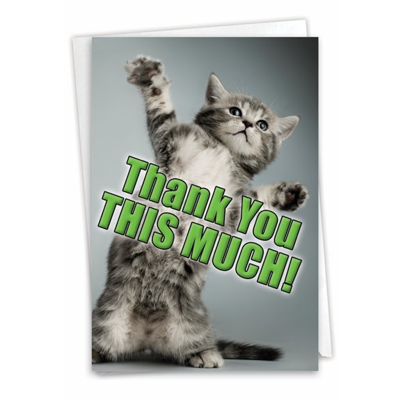3612 Hilarious Thank You Greeting Card 'This Much Kitten  ' with Envelope by NobleWorks