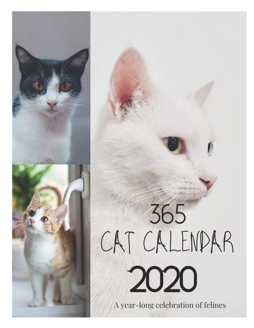 365 Cat Calendar 2020 A 2020 Year Cat Calendar. Cat 365 Day Calendar