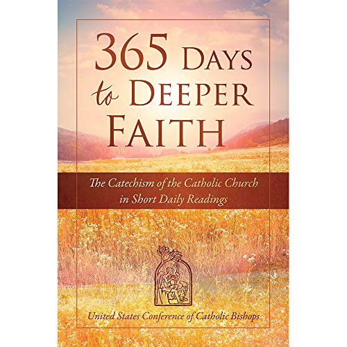 Pre-Owned 365 Days to Deeper Faith (Paperback) 1601375778 9781601375773
