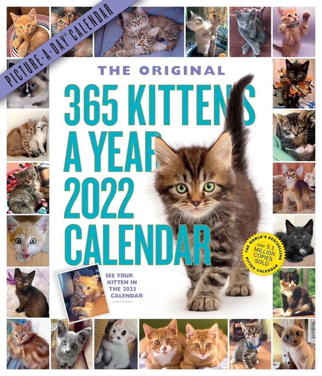365 KittensAYear PictureADay Wall Calendar 2022 A Year of the
