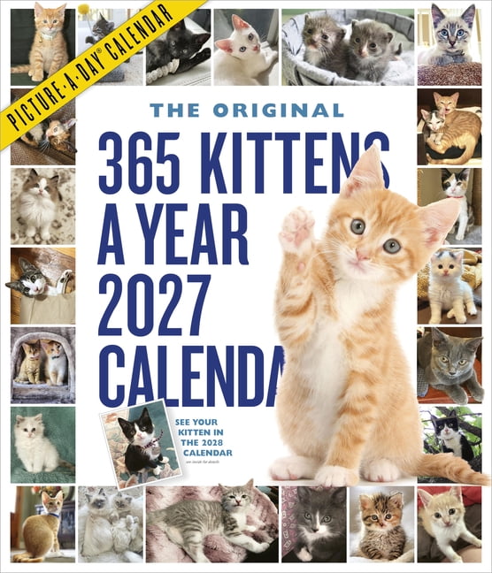 365 Kittens-A-Year Picture-A-Day(r) Wall Calendar 2027: The World's Favorite Kitten Calendar, (Paperback)