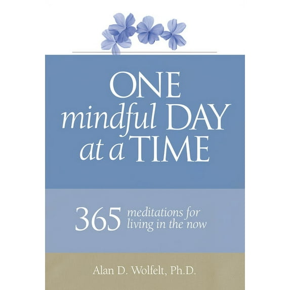 365 Meditations One Mindful Day at a Time: 365 Meditations on Living in the Now, (Paperback)