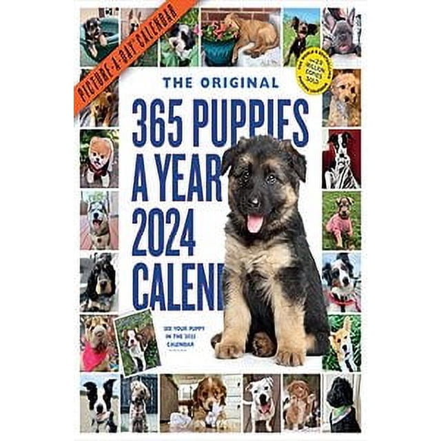 365 Puppies A Year Picture A Day Wall Calendar 2024 Absolutely 365-puppies-a-year-picture-a-day-wall-calendar-2024-absolutely