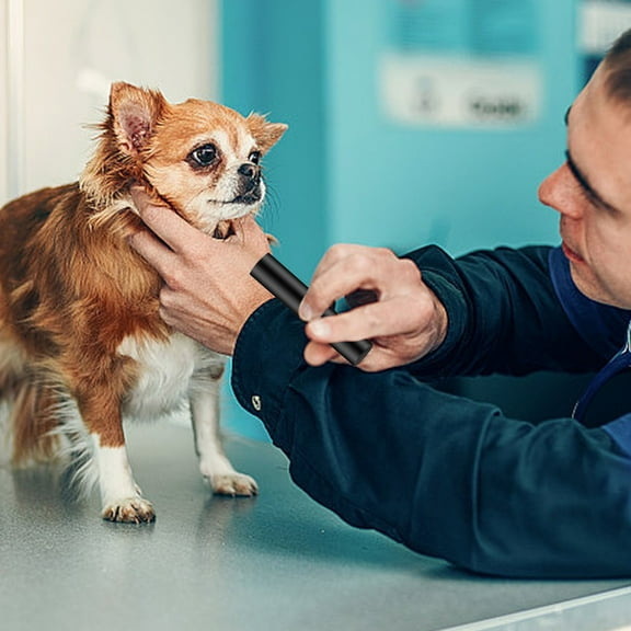 365nm UV Black Light Flashlight for Counterfeit Detection Nail Art and Authenticity Verification Rechargeable Portable Inspection Tool