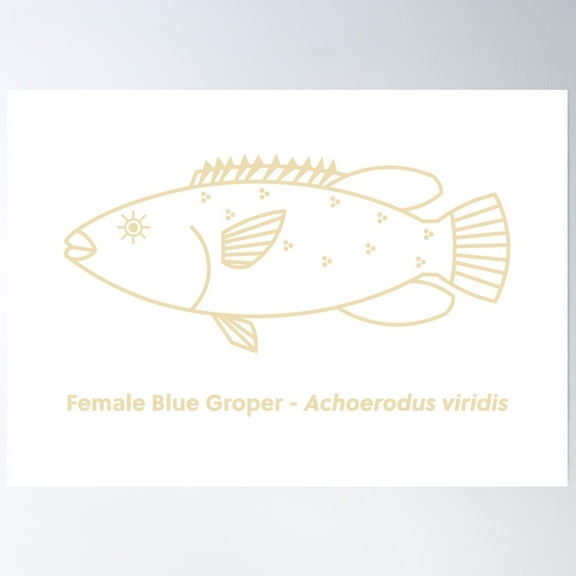 369 Prints Adorable Female Blue Groper In Vanilla And White- No Framed, Vintage Wall Art, Trendy Retro Print, Room Decor, Wall Art UNFRAMED, 24x36