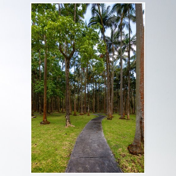 369 Prints Anse Des Cascades- No Framed, Vintage Wall Art, Trendy Retro Print, Room Decor, Wall Art UNFRAMED, 8x12