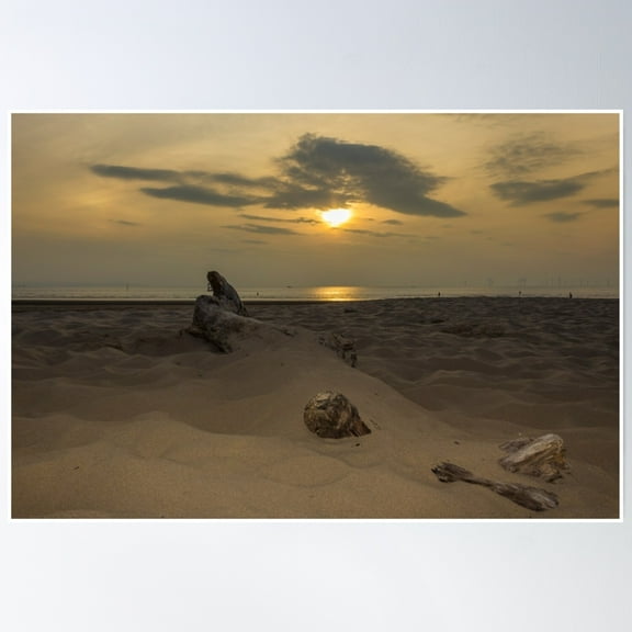 369 Prints Driftwood In The Sand- No Framed, Vintage Wall Art, Trendy Retro Print, Room Decor, Wall Art UNFRAMED, 12x18