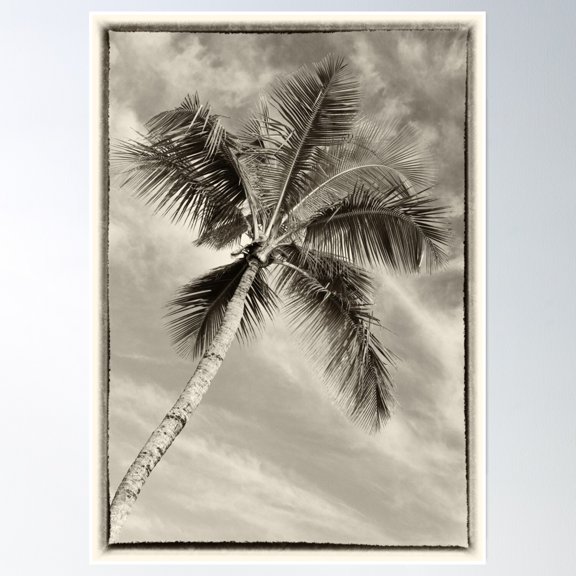 369 Prints Palm Paradise #2- No Framed, Vintage Wall Art, Trendy Retro Print, Room Decor, Wall Art UNFRAMED, 24x36