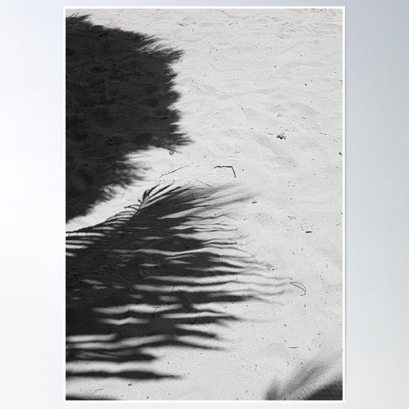 369 Prints Palm Shadow (B&W)- No Framed, Vintage Wall Art, Trendy Retro Print, Room Decor, Wall Art UNFRAMED, 24x36