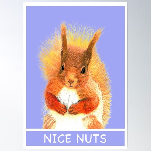 369 Prints Red Squirrel Humour- No Framed, Vintage Wall Art, Trendy Retro Print, Room Decor, Wall Art UNFRAMED, 12x18